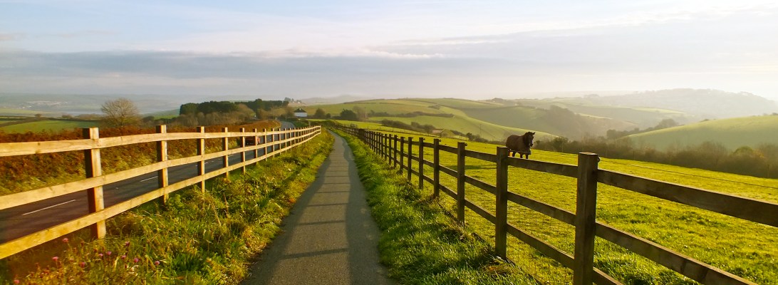 A morning view of the cycle track between Malborough and Salcombe in Devon.