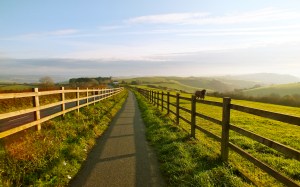 A morning view of the cycle track between Malborough and Salcombe in Devon.