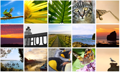 Buy Hannah Sterry Photography Local South Hams South West Devon Salcombe Malborough Thurlestone Start Point Photos Photography Wall Art Gifts Prints Postcards Photos Nature Shots Wildlife Malborough Hope Cove