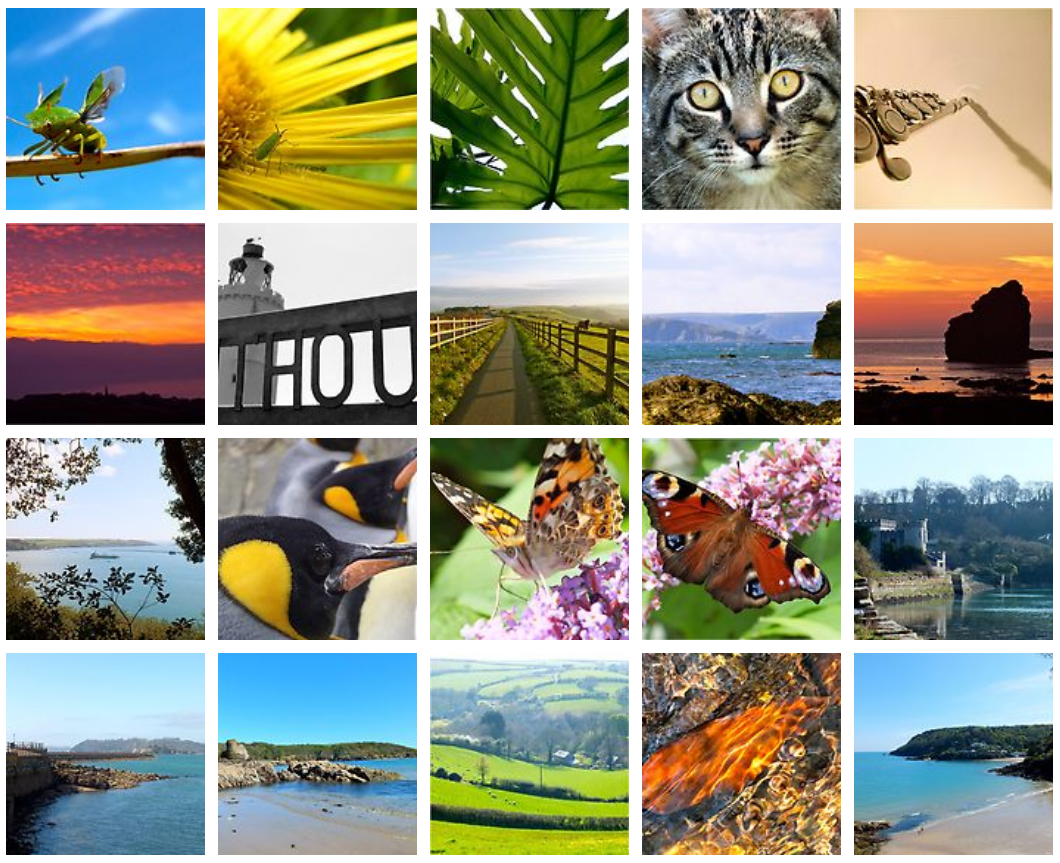 Photography by Hannah Sterry