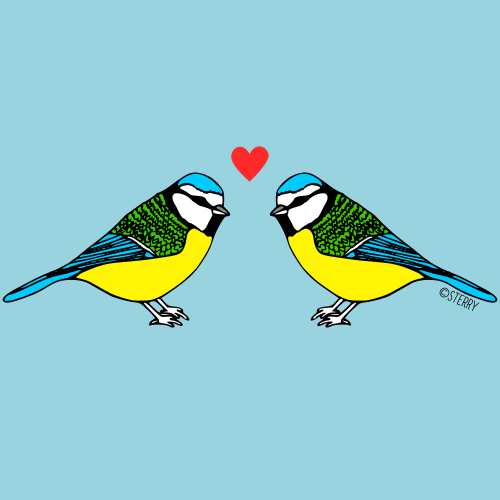 Bluetits in Love - Illustration by Hannah Sterry